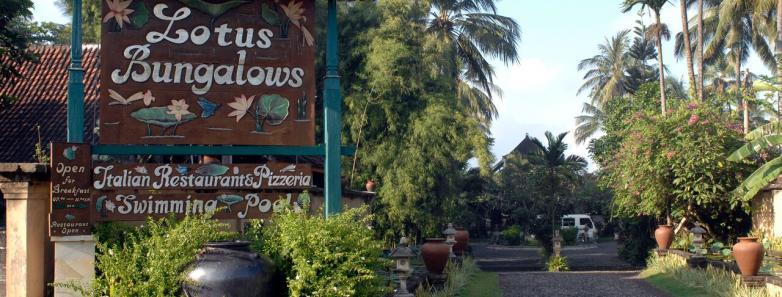 Lotus Hotels & Gangga Divers DEMA 2023 Special