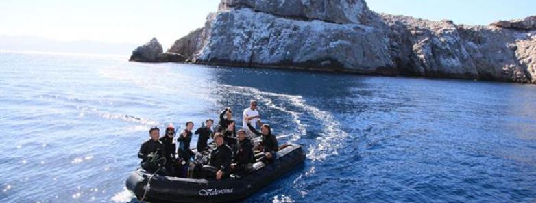 Divers wave to the MV Valentina from the diving tender boat.