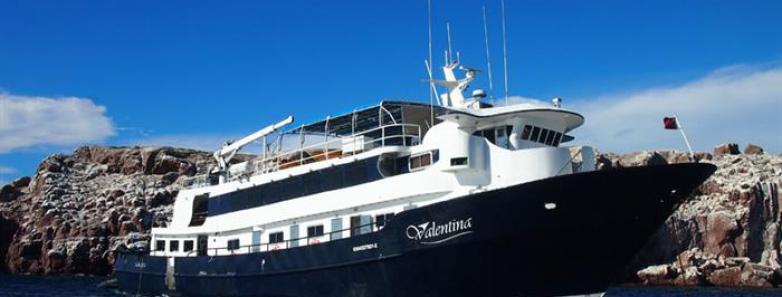 Exterior view of the MV Valentina liveaboard from the starboard side of the bow.