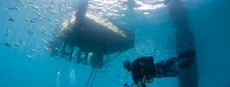 Divers explore underneath Seaventures Dive Rig.