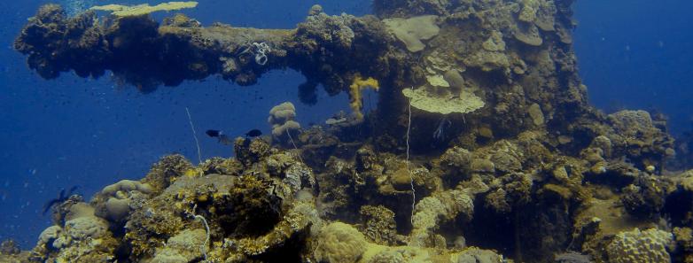 bikini atoll diving