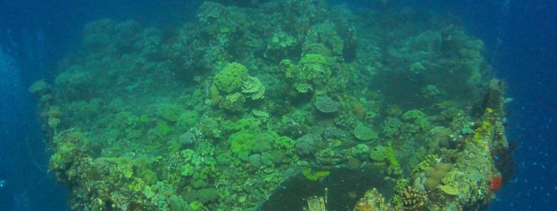 bikini atoll scuba diving