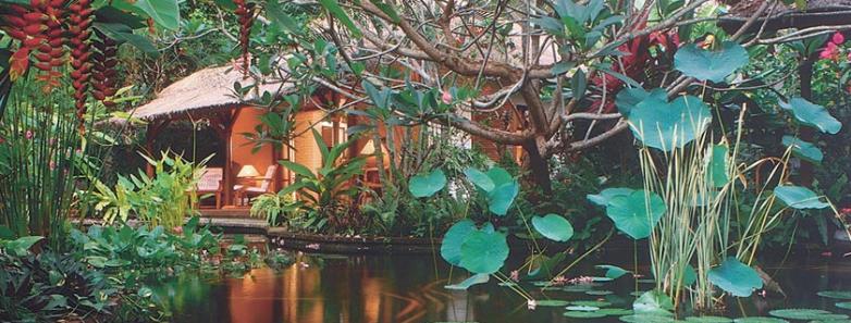 A beautiful lily pond accents the Watergarden Resort Bali.
