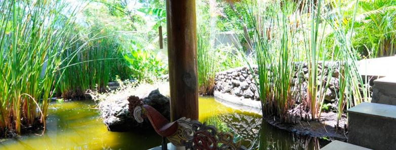 A pond next to a building at Alam Batu Beach Bungalow Resort Bali