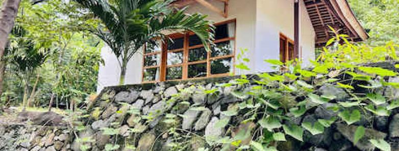 A Hillside Bungalow surrounded by natural foliage at Alor Tanapi Dive Resort.