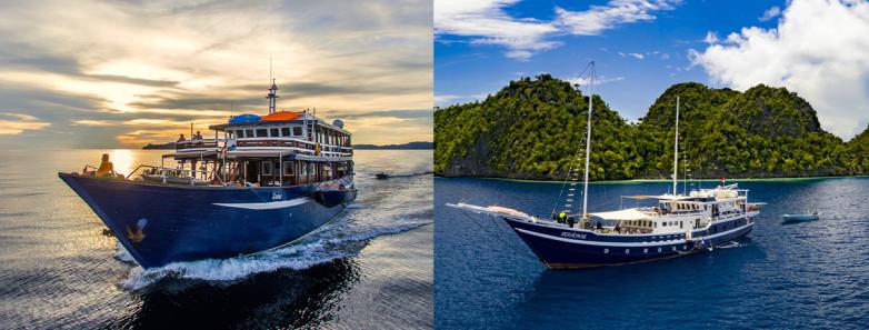 Wallacea Dive Cruise Liveaboards Ambai and Seahorse