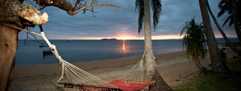 A hammock in front of the ocean and palm trees