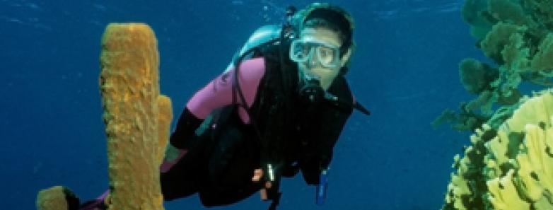 Scuba diving in Bonaire