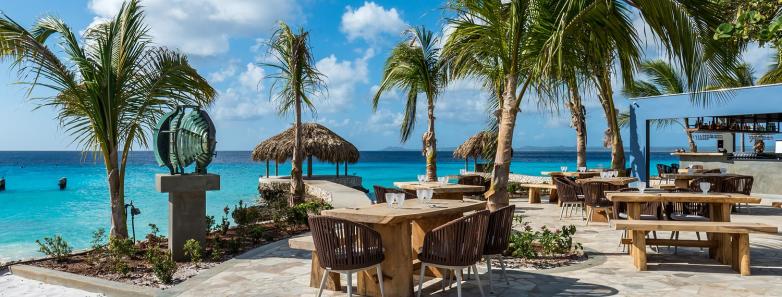Beach lounge chairs and palm trees at Delfins Beach Resort Bonaire.