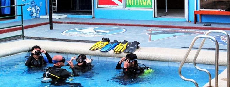 Marco Vincent Dive Resort Reviews & Specials - Bluewater Dive Travel