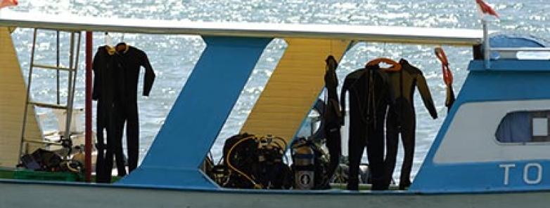 Scuba divers on a dive boat prepare to dive.