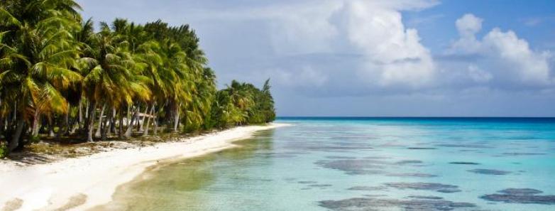 A white sand beach with trees and the sea in French Polynesia
