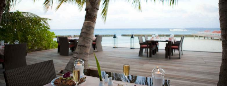 A beachside table with palm trees in the background, perfect for a relaxing meal by the sea.