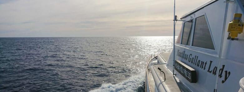 The Nautilus Gallant Lady Liveaboard sails the open sea