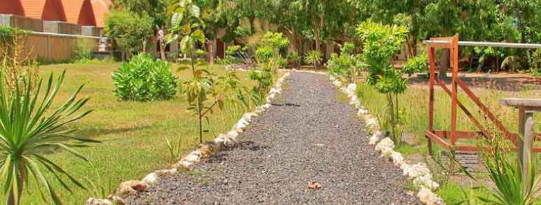 A gravel path with a walkway and trees