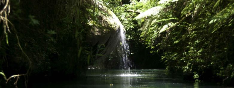 A waterfall in a tropical forest in Vanuatu.
