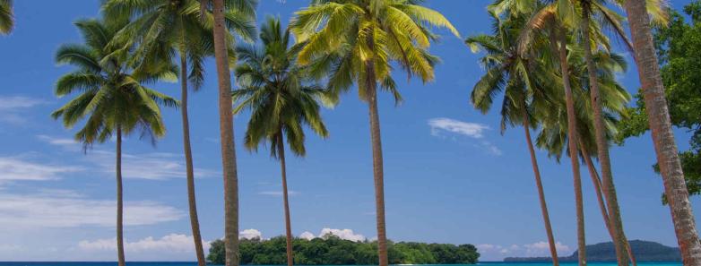 Palm trees line the shore at The Espiritu Vanuatu.