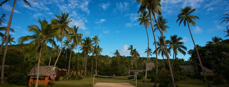 A beach volleyball court sits between palm trees and a grassy area.
