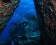 british virign islands diving