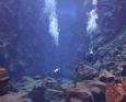 Scuba diving in Iceland