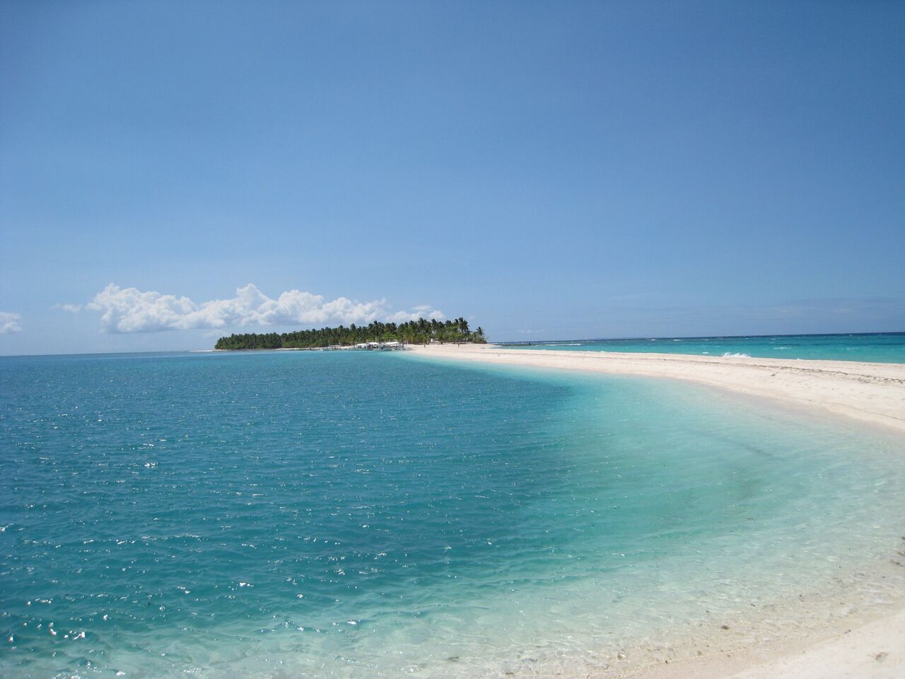 Thresher Shark Divers Malapascua Reviews, Photos & Special Rates